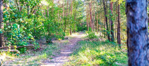 Земельный участок в Тельтов-Флеминг, Германия № 341668 13