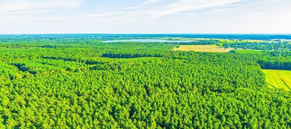 Земельный участок в Тельтов-Флеминг, Германия № 341668 15