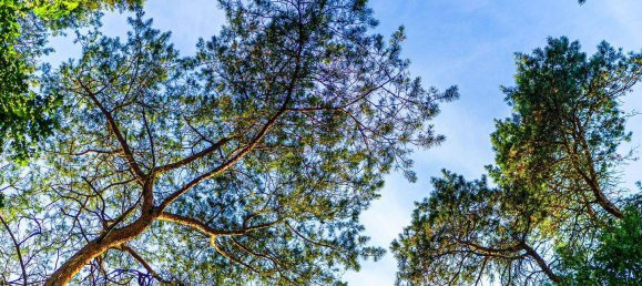 Земельный участок в Тельтов-Флеминг, Германия № 341668 12