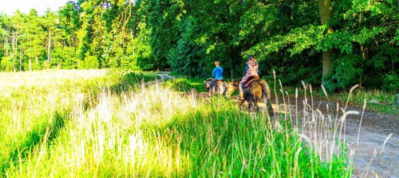 Земельный участок в Тельтов-Флеминг, Германия № 341668 14