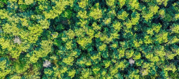 Земельный участок в Тельтов-Флеминг, Германия № 341668 16