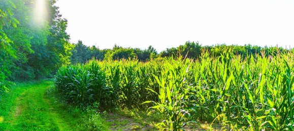 Земельный участок в Тельтов-Флеминг, Германия № 341668 10