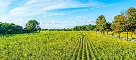 Земельный участок в Тельтов-Флеминг, Германия № 341668 18