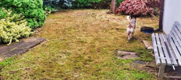 3-Zimmer Bungalow in Teltow-Fläming, Germany, Nr. 250876 8