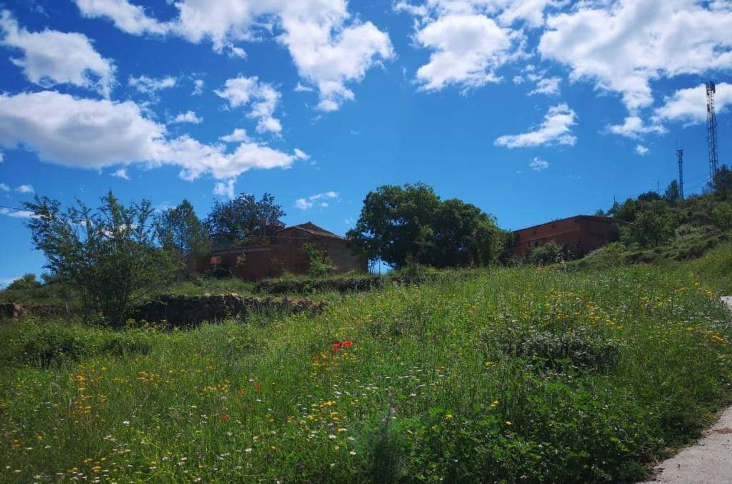 Grundstück in Castellon, Spain, Nr. 197086