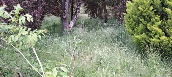 5 Schlafzimmer Haus in Charente-Maritime, France, Nr. 341188 17