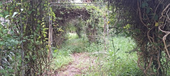 5 Schlafzimmer Haus in Charente-Maritime, France, Nr. 341188 18