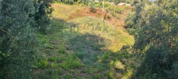 Casa de 2 dormitorios en Ourem, Portugal No. 30391 7