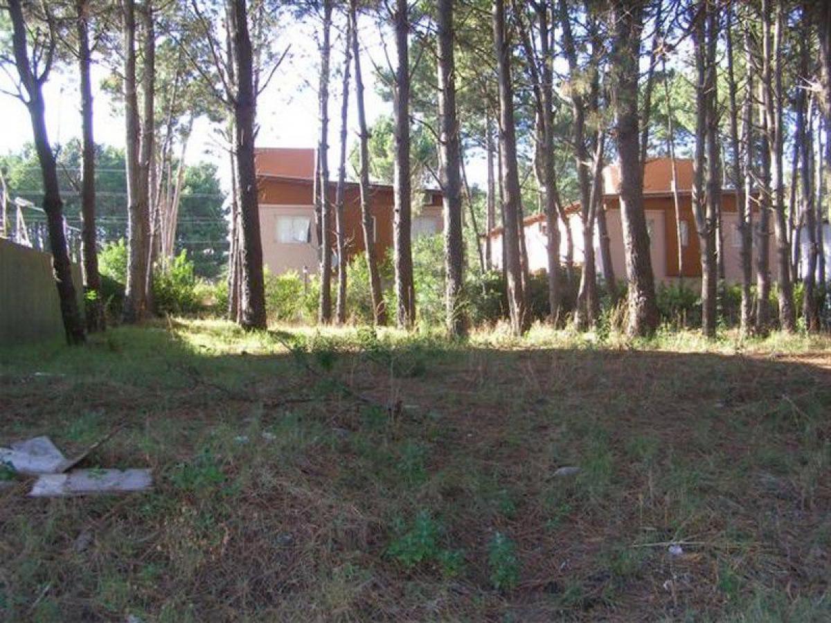  Land in Mar del Plata, Argentina No. 118705