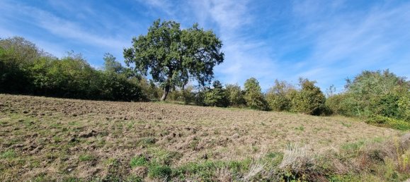 2300m² Land in Montefusco, Italy No. 108453 4