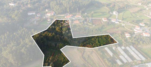 Casa de 9 dormitorios en Viana do Castelo, Portugal No. 68247 17