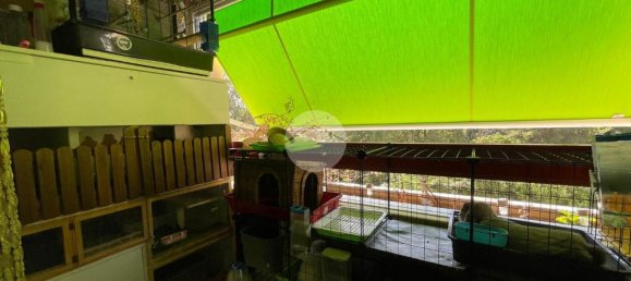 1 chambre Appartement à Genoa, Italy No. 324738 8