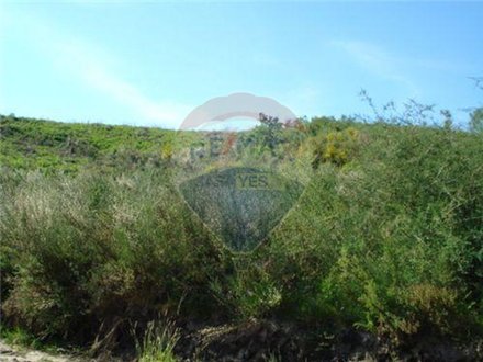 Terrain à Vila Verde, Portugal 4922m² No. 36504