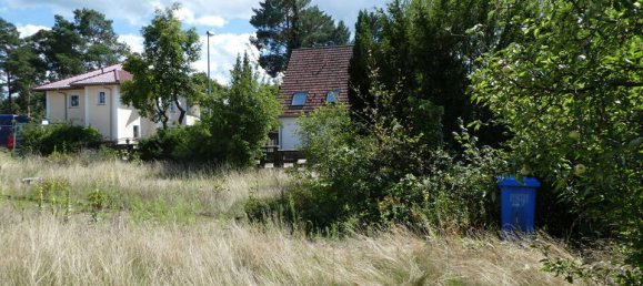  Land in Dahme-Spreewald, Germany No. 248929 3