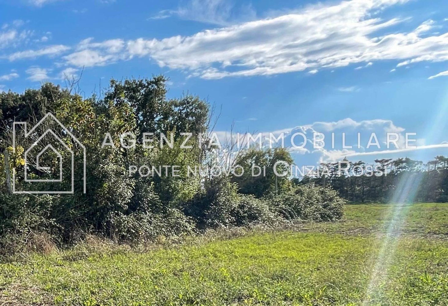 6500m² Land in Ravenna, Italy No. 350708