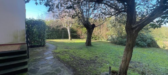 3 rooms Villa in Forte dei Marmi, Italy No. 90957 4