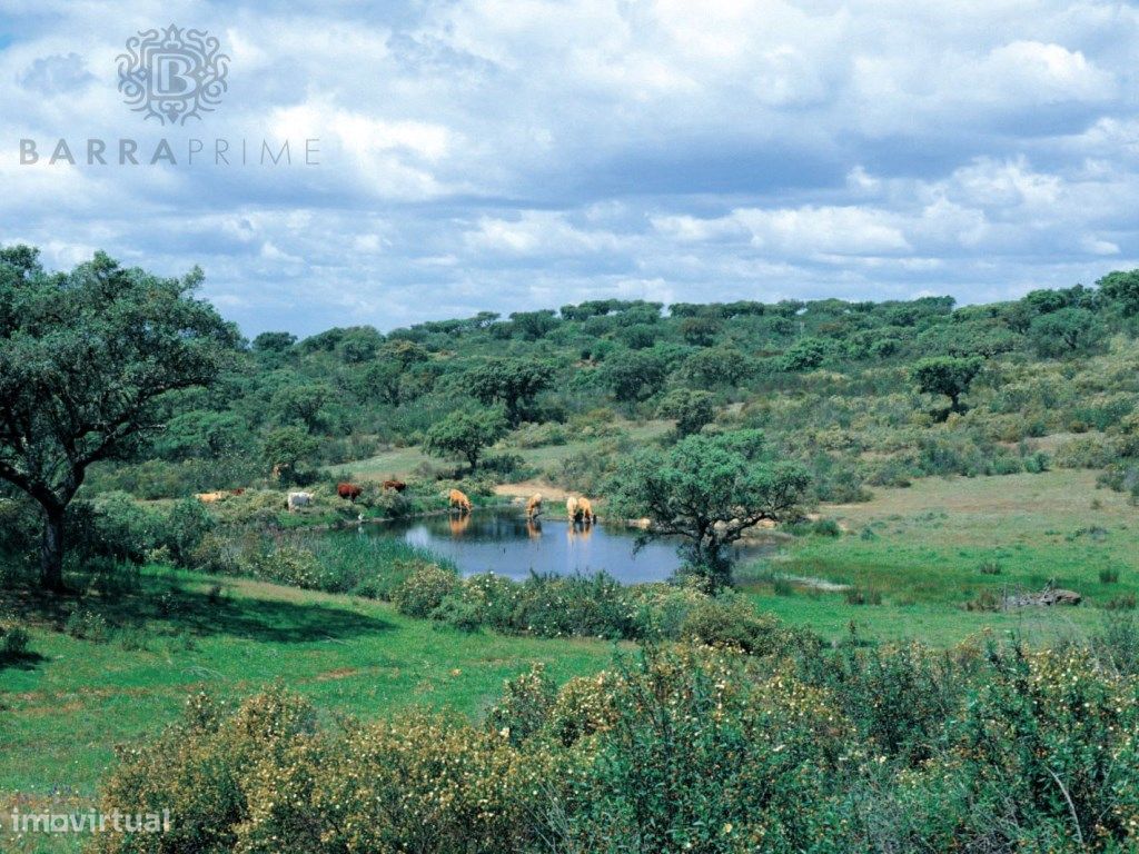 Terreno en Ourique, Portugal 47000 m² No. 205649