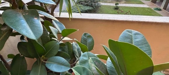 3 Schlafzimmer Wohnung in Livorno, Italy, Nr. 272983 2