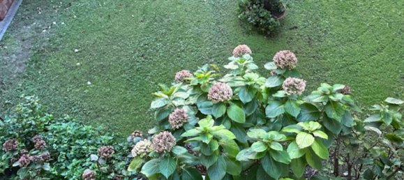 3 Schlafzimmer Wohnung in Livorno, Italy, Nr. 272983 24