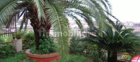 Villa de 3 dormitorios en Vibo Valentia, Italy No. 80694 18