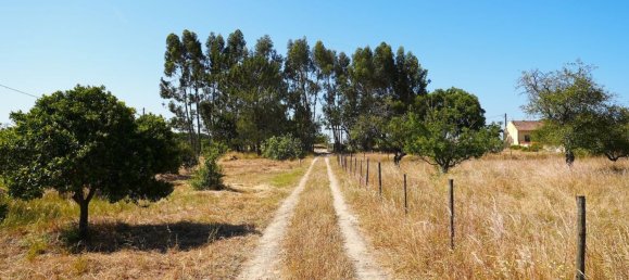 4 bedrooms House in Grandola, Portugal No. 49448 30