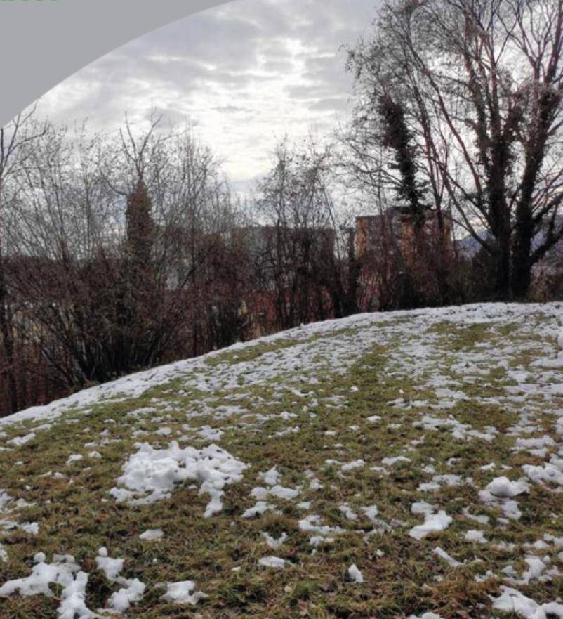 Terrain à Wetzelsdorf, Austria 1656m² No. 257036