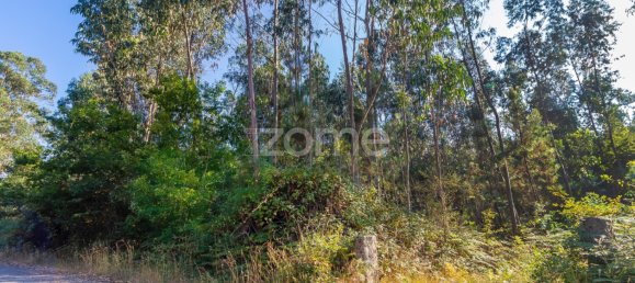  قطعة أرض في Santo Tirso, Portugal رقم 64682 6