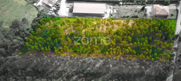  قطعة أرض في Santo Tirso, Portugal رقم 64682 11