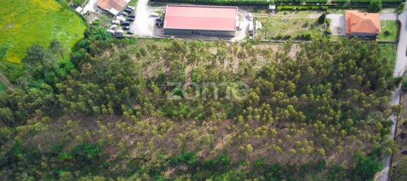  قطعة أرض في Santo Tirso, Portugal رقم 64682 10