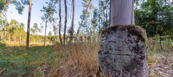  قطعة أرض في Santo Tirso, Portugal رقم 64682 2