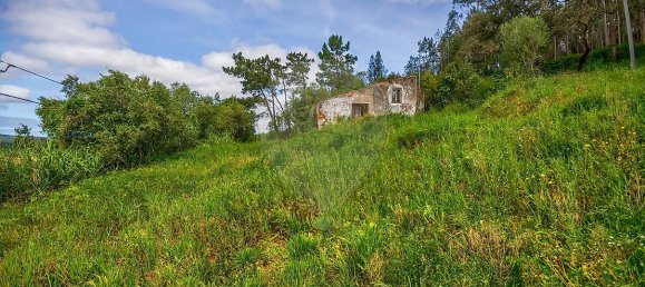 1 bedroom House in Maiorga, Portugal No. 35671 5