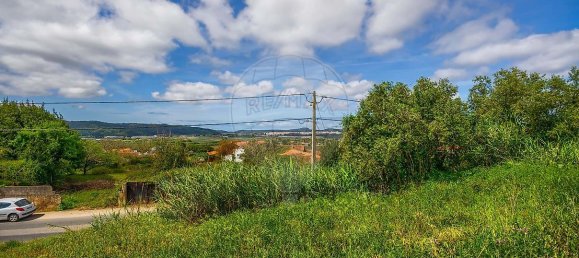 1 bedroom House in Maiorga, Portugal No. 35671 6