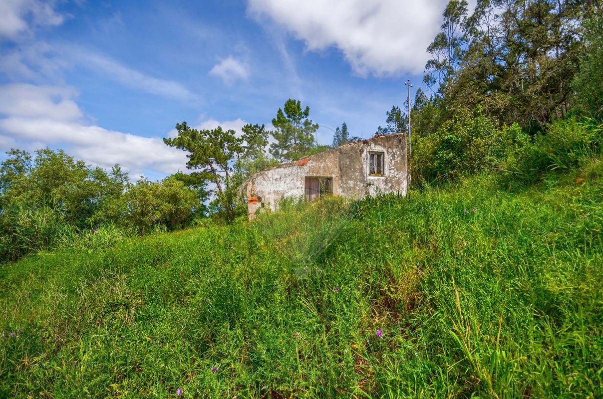 1 bedroom House in Maiorga, Portugal No. 35671