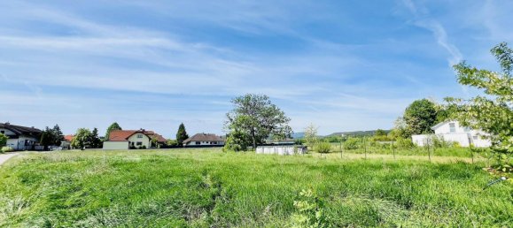  قطعة أرض في Wollersdorf-Steinabruckl, Austria رقم 155155 2