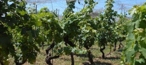 Villa de 5 dormitorios en Ragusa, Italy No. 360792 23