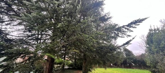 Grundstück in Les Lucs-sur-Boulogne, France 513m², Nr. 215673 4