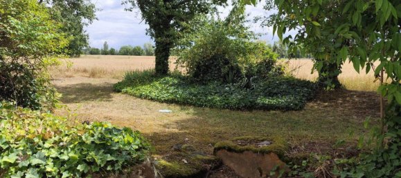 Duplex T3 em Ludwigshafen am Rhein, Germany N.º 268227 16