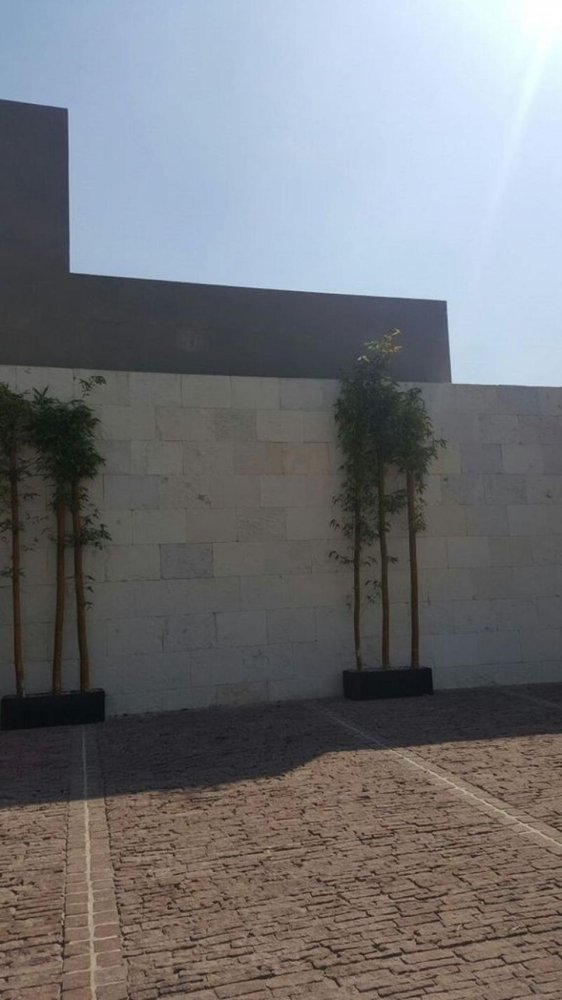 3 chambres Maison à Ciudad Lopez Mateos, Mexico No. 210743