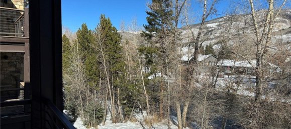 2 Schlafzimmer Cafe / Restaurant in Silverthorne, USA, Nr. 267 28