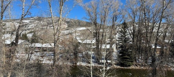 2 Schlafzimmer Cafe / Restaurant in Silverthorne, USA, Nr. 267 4