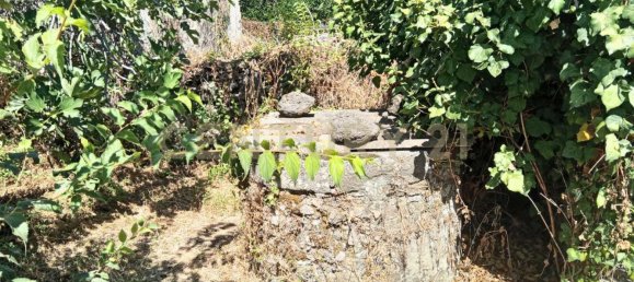 Grundstück in Valverde, Italy, Nr. 316928 19