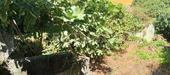 Grundstück in Valverde, Italy, Nr. 316928 22