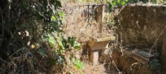 Grundstück in Valverde, Italy, Nr. 316928 3