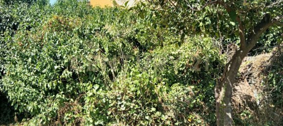 Grundstück in Valverde, Italy, Nr. 316928 15