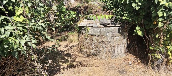 Grundstück in Valverde, Italy, Nr. 316928 18