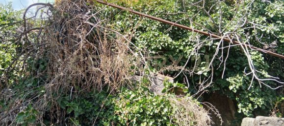 Grundstück in Valverde, Italy, Nr. 316928 4