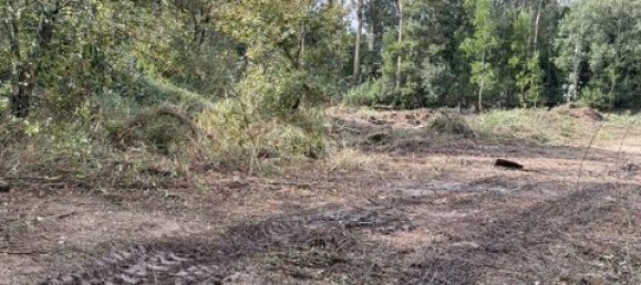 Terrain à Paredes, Portugal 7480m² No. 151805 12