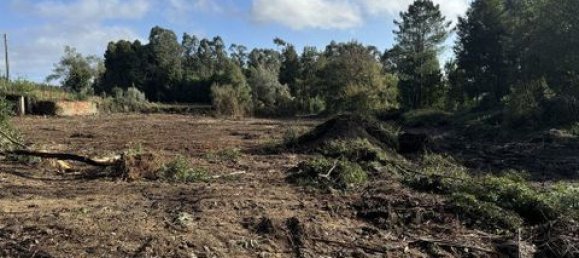 Terrain à Paredes, Portugal 7480m² No. 151805 11