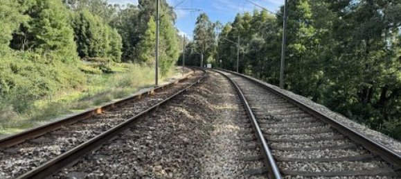 Terrain à Paredes, Portugal 7480m² No. 151805 7