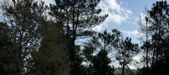 Terrain à Paredes, Portugal 7480m² No. 151805 5